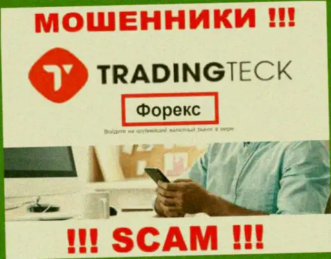 Работать с TradingTeck слишком рискованно, потому что их сфера деятельности Forex  - это кидалово
