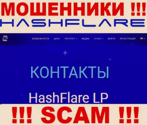 Сведения о юр. лице интернет-лохотронщиков HashFlare Io