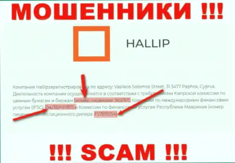 Не взаимодействуйте с мошенниками Hallip Com - наличием лицензии на осуществление деятельности, на web-ресурсе, затягивают наивных людей