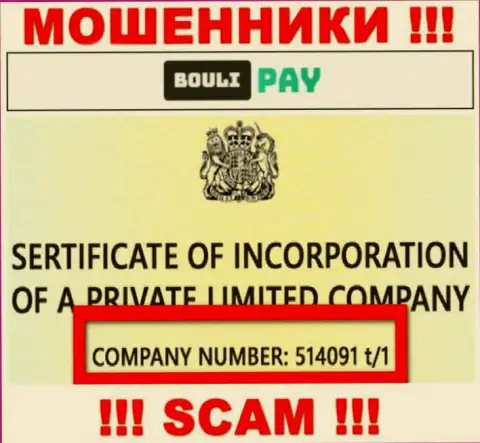 Регистрационный номер Bouli-Pay Com возможно и ненастоящий - 514091 t/1
