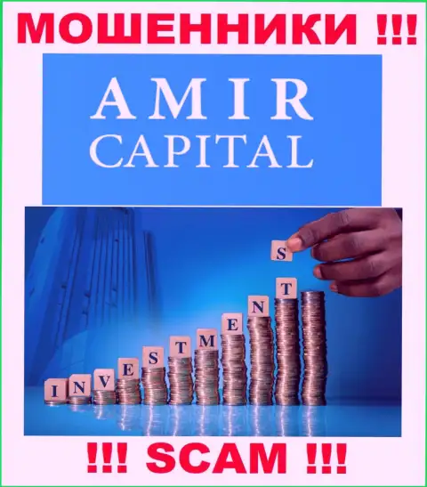 Не переводите сбережения в Amir Capital, направление деятельности которых - Инвестирование