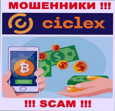 Ciclex не внушает доверия, Криптовалютный обменник - это то, чем заняты указанные internet мошенники