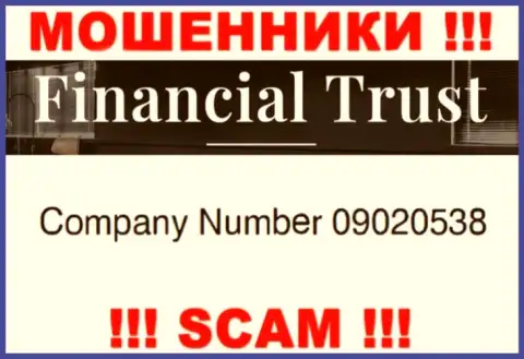 Регистрационный номер мошенников интернета организации Financial Trust: 09020538