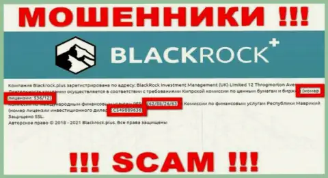 BlackRock Plus прячут свою жульническую суть, представляя на своем веб-ресурсе лицензию