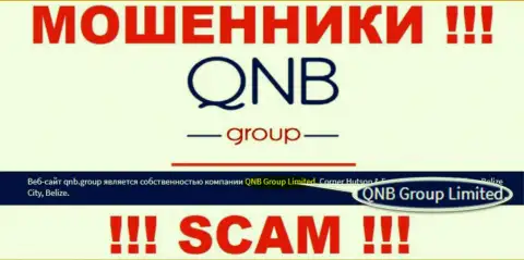 КьюНБ Групп Лтд это организация, которая владеет internet кидалами QNB Group