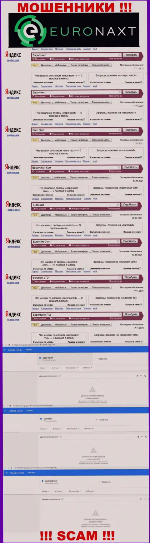 Поисковые запросы по интернет мошенникам EuroNax