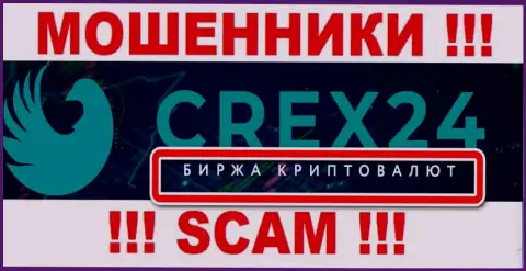 Сфера деятельности компании Crex24 - это замануха для доверчивых людей