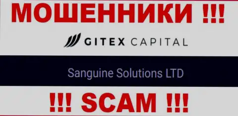 Юридическое лицо Гитекс Капитал - это Sanguine Solutions LTD, такую информацию предоставили мошенники у себя на сайте