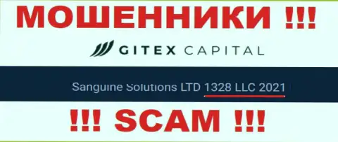 Регистрационный номер компании GitexCapital - 1328LLC2021