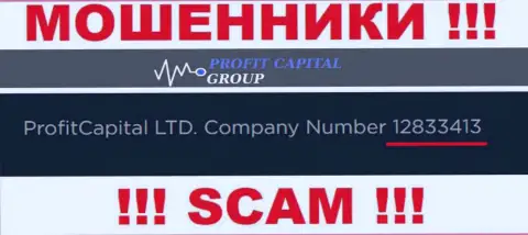 Рег. номер Profit Capital Group, который показан мошенниками у них на сайте: 12833413