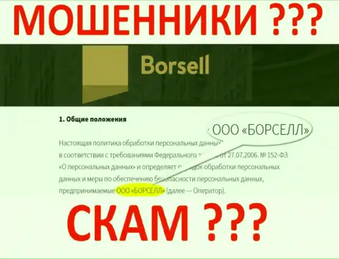Borsell LLC это компания, владеющая интернет мошенниками Borsell