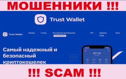 Что касательно вида деятельности Trust Wallet (Виртуальный кошелёк) - это явно кидалово