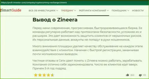 Заключение в публикации об условиях торгов компании Zineera, размещенной на web-портале Profi Investor Com