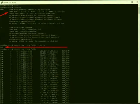 Доказательство ДДоС атаки на сервер maximarkets.pro